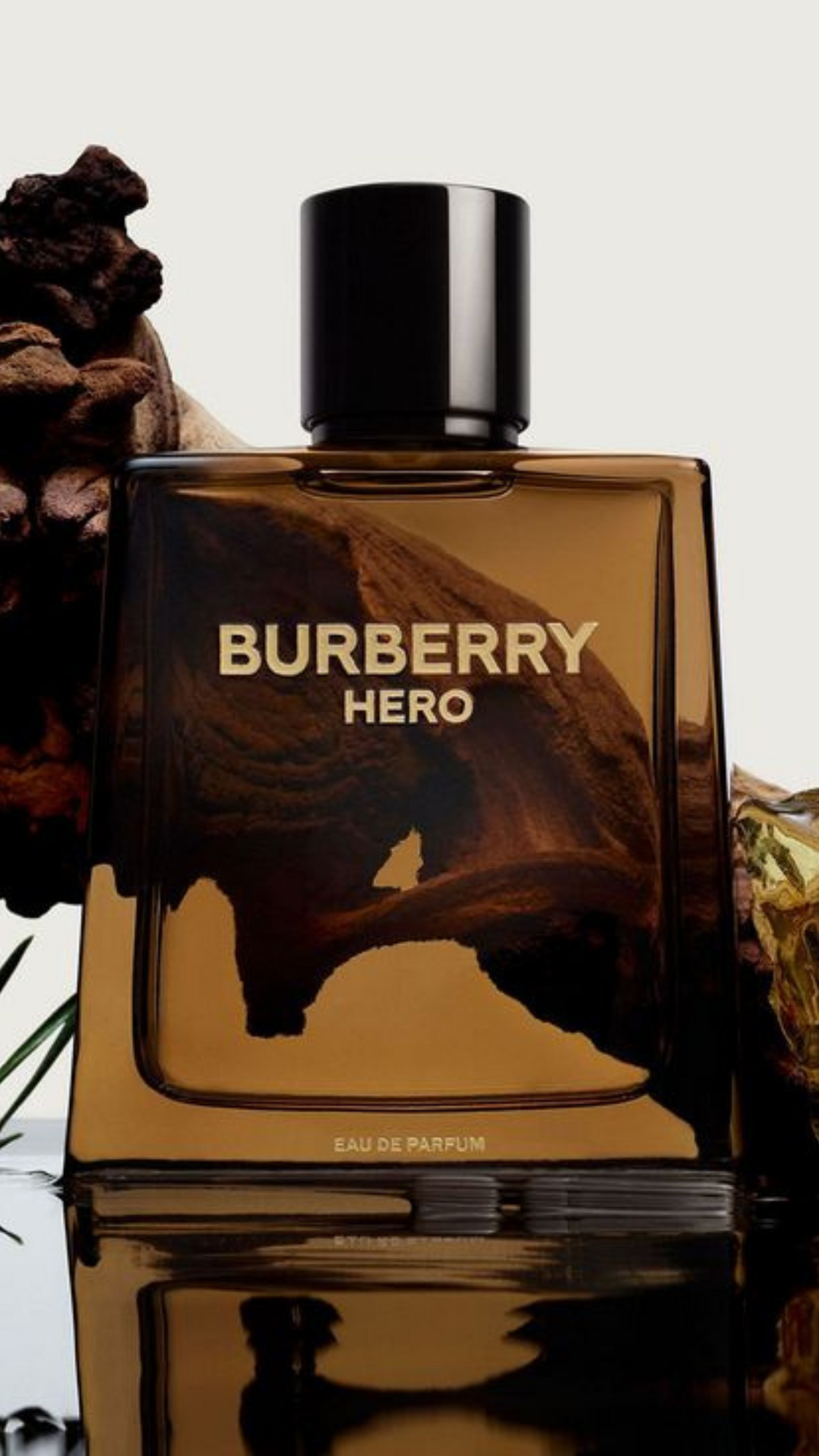 Burberry Hero (EAU DE PARFUM)